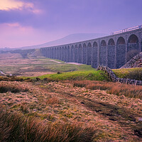 Buy canvas prints of Ribblehead Viaduct Yorkshire Dales  by Tim Hill