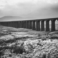 Buy canvas prints of Ribblehead Viaduct Monochrome by Tim Hill