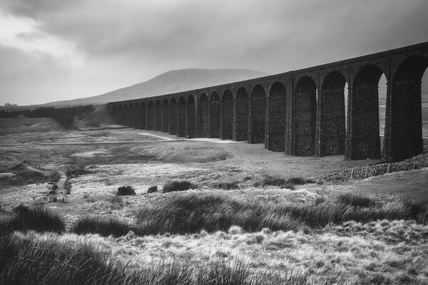 Ribblehead Viaduct Black and White Picture Board by Tim Hill