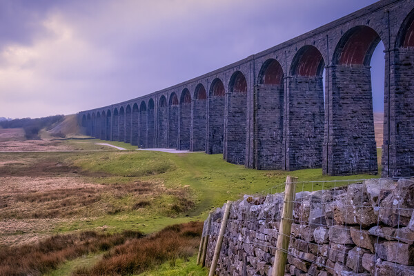 Ribblehead Viaduct Yorkshire Dales  Picture Board by Tim Hill