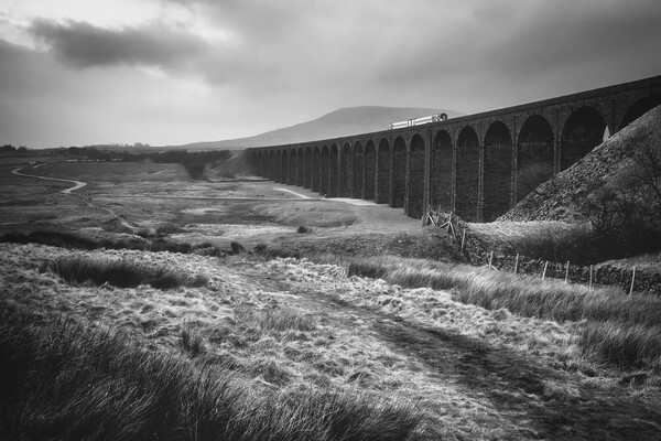 Ribblehead Viaduct Yorkshire Dales  Picture Board by Tim Hill