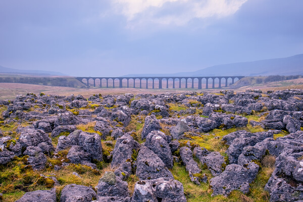 Ribblehead Viaduct Yorkshire Dales Picture Board by Tim Hill