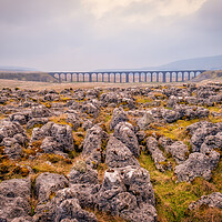 Buy canvas prints of Ribblehead Viaduct Yorkshire Dales by Tim Hill