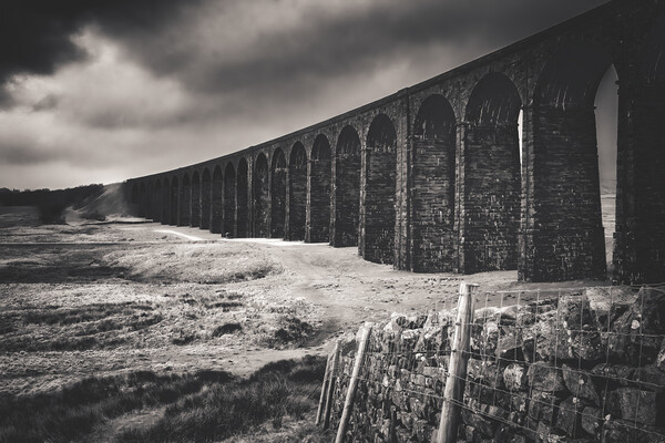 Ribblehead Viaduct Black and White Picture Board by Tim Hill