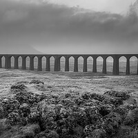 Buy canvas prints of Ribblehead Viaduct by Tim Hill