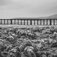 Buy canvas prints of Ribblehead Viaduct by Tim Hill