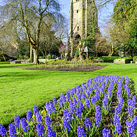 Buy canvas prints of Friary Gardens Richmond by Tim Hill