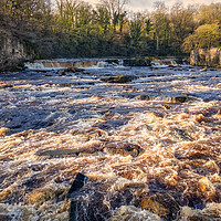 Buy canvas prints of Richmond Falls North Yorkshire by Tim Hill