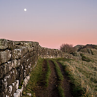 Buy canvas prints of Hadrians Wall by Peter Bardsley