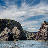 Buy canvas prints of St Abbs Headland by Peter Bardsley