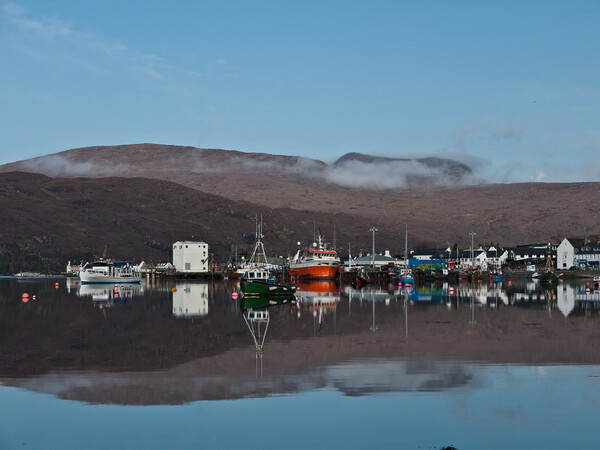 Ullapool  Harbour Picture Board by Peter Bardsley