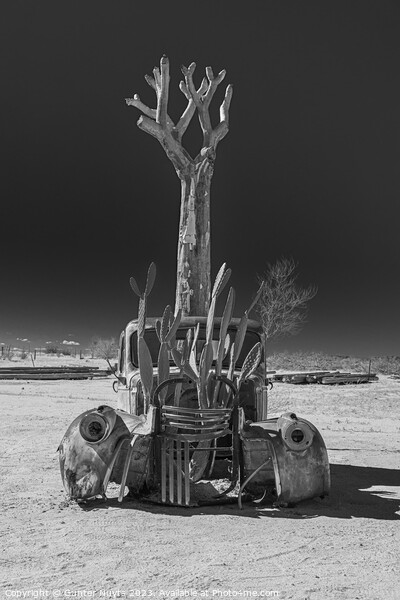 Abandoned car in Namibia Picture Board by Gunter Nuyts