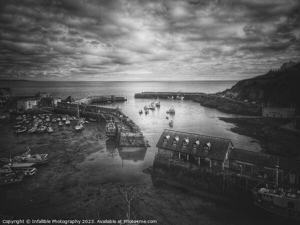 Mevagissey Harbour  Picture Board by Infallible Photography