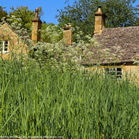 Buy canvas prints of Hidden Cotswolds cottage by Martin fenton