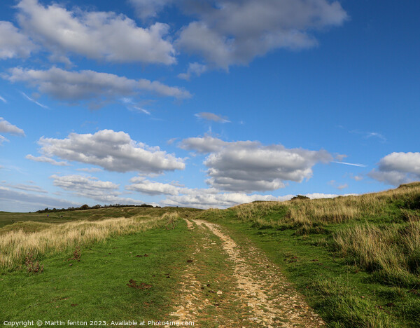Cleeve Hill pathway Picture Board by Martin fenton