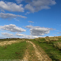 Buy canvas prints of Cleeve Hill pathway by Martin fenton