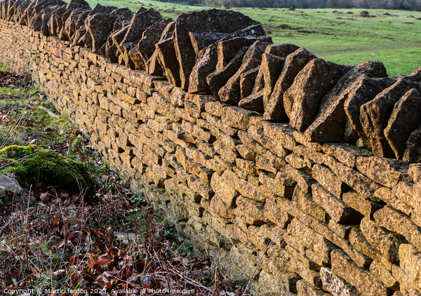 Cotswolds drystone wall Picture Board by Martin fenton