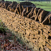 Buy canvas prints of Cotswolds drystone wall by Martin fenton