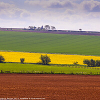 Buy canvas prints of Fields of colour by Martin fenton