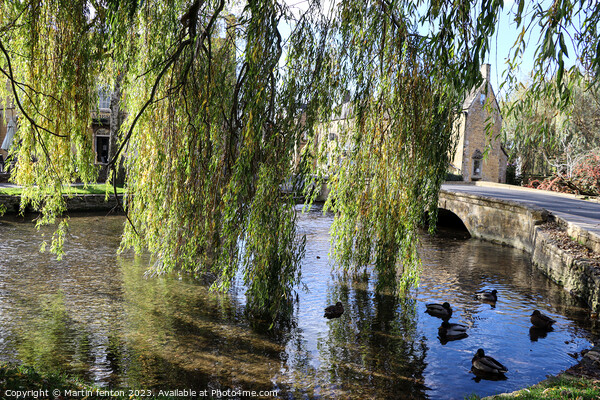 Willow trees in Bourton on the water Picture Board by Martin fenton