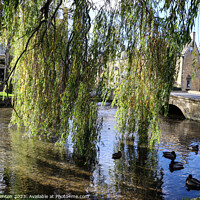 Buy canvas prints of Willow trees in Bourton on the water by Martin fenton