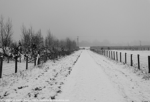 Cold winter Cotswold walk Picture Board by Martin fenton