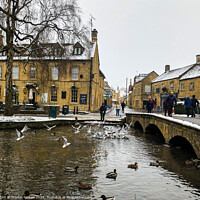 Buy canvas prints of Seagulls in Bourton on the water by Martin fenton