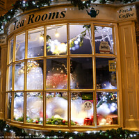 Buy canvas prints of Christmas window display by Martin fenton