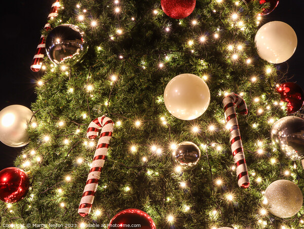 Splendid Christmas tree Picture Board by Martin fenton