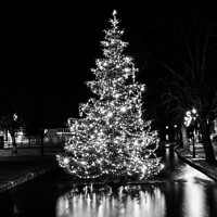 Buy canvas prints of Floating Christmas tree  by Martin fenton
