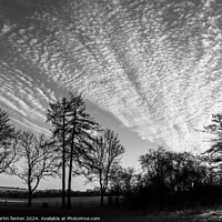 Buy canvas prints of Black and white sunset by Martin fenton