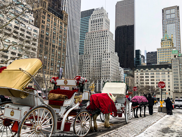 New York horse and carriage Picture Board by Martin fenton