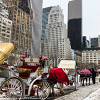 Buy canvas prints of New York horse and carriage by Martin fenton