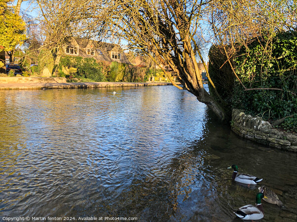 Riversidebourton on the water  Picture Board by Martin fenton