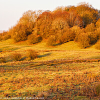 Buy canvas prints of Dovers Hill Golden hour by Martin fenton