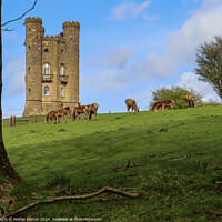 Buy canvas prints of Broadway Tower Cotswolds by Martin fenton