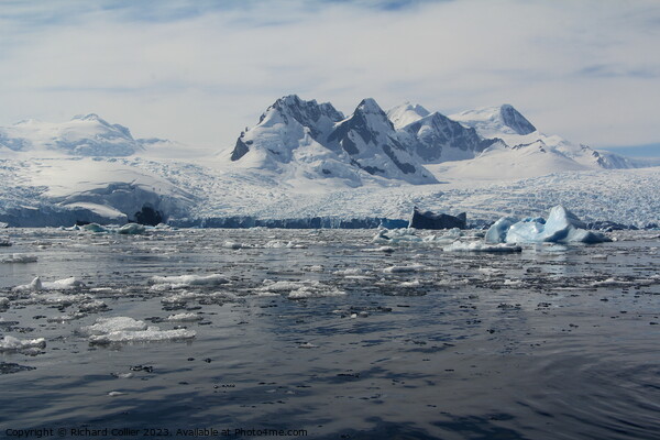Antarctic Peninsula  Picture Board by Richard Collier