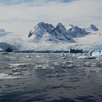 Buy canvas prints of Antarctic Peninsula  by Richard Collier