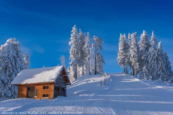Winter wonderland in the Alps, frozen spruce trees and a cottage Picture Board by Arthur Mustafa