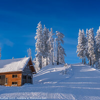 Buy canvas prints of Winter wonderland in the Alps, frozen spruce trees and a cottage by Arthur Mustafa