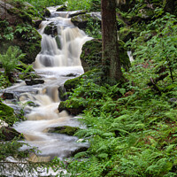 Buy canvas prints of Waterfall, wild river Doubrava in Czech Republic.  by Lubos Chlubny