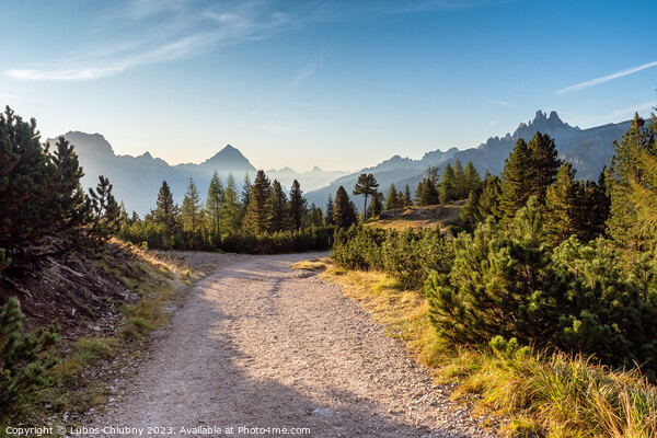 Wide trail in the Dolomites. Hiking trip, Walking path in dolomites landscape. The Tofane Group in the Dolomites, Italy, Europe. Picture Board by Lubos Chlubny
