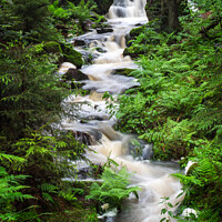Buy canvas prints of Waterfall, wild river Doubrava in Czech Republic. Valley Doubrava near Chotebor. by Lubos Chlubny