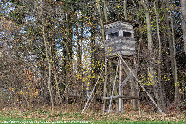 Wooden lookout tower for hunting in the woods and on meadow Picture Board by Lubos Chlubny