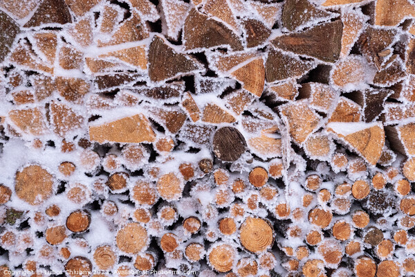 Frost on a pile of firewood Picture Board by Lubos Chlubny