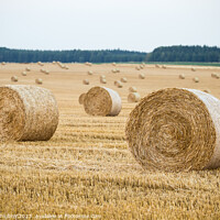 Buy canvas prints of Hay bales on the field after harvest by Lubos Chlubny