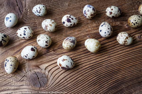 Quail eggs on a wooden board Picture Board by Lubos Chlubny