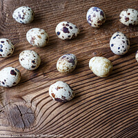Buy canvas prints of Quail eggs on a wooden board by Lubos Chlubny