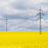 Buy canvas prints of High voltage power lines above rapeseed field (Brassica napus). Plant for vegetable oil, green energy and biodiesel. by Lubos Chlubny
