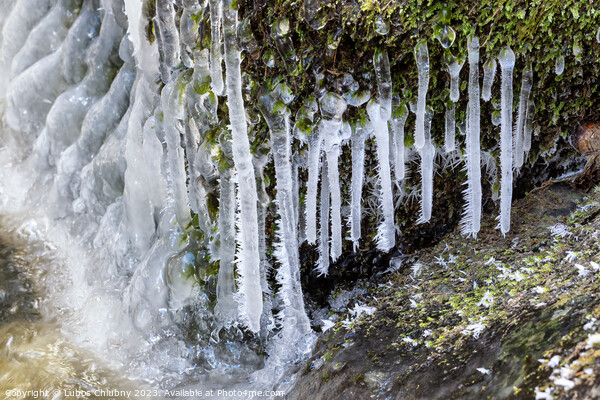 Frost and small icicles on a stone in the river. Spring thaw. Picture Board by Lubos Chlubny